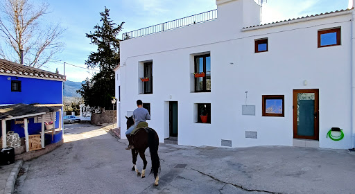 Darling Casas Real Estate Agency - Thumbnail