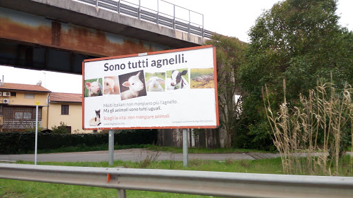 Servizi & Gestioni Italia Srl