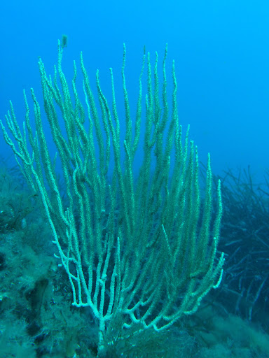 Style Diving s.n.c - Thumbnail