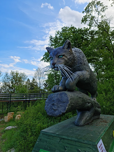 Wildcat Village Gallery - United States