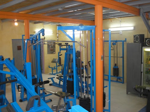 GYM LOKO, Author: Gerardo López Alvarado