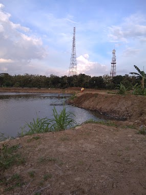 Danau Pulau Harapan, Author: Alisa Nazua