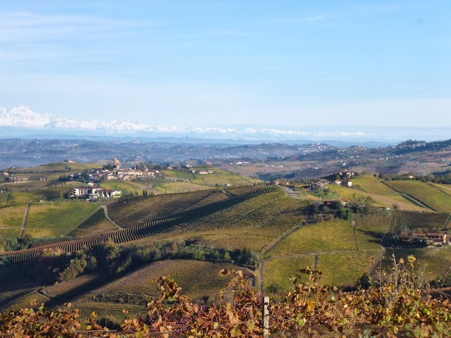 Agriturismo la Torricella