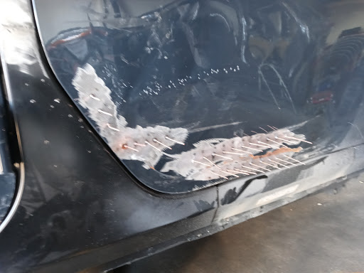 Steven auto repair LLC Gallery - United States