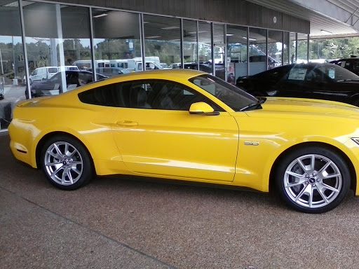 Lonnie Cobb Ford - Thumbnail