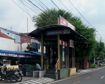 Photos of Museum Biologi