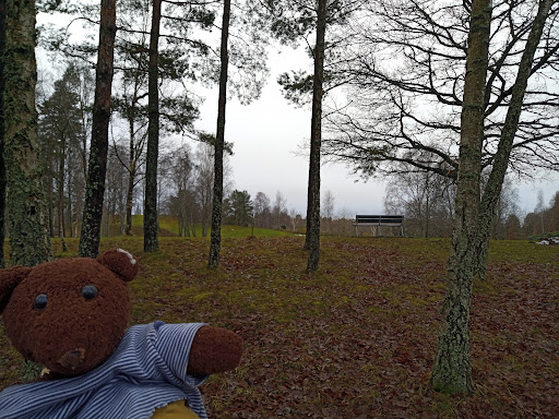 Håjums begravningsplats - Thumbnail