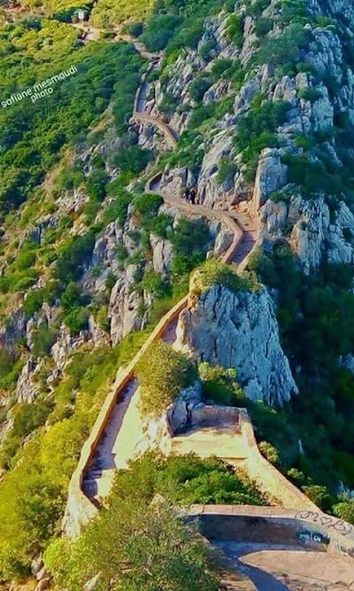 Photos of agence de tourisme et de voyages tazmalt voyages et tourisme tvt succcursale sidi aich