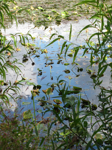 Lake Towhee Park - Thumbnail