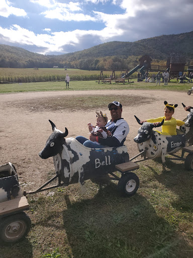 Layman Family Farms Gallery - United States