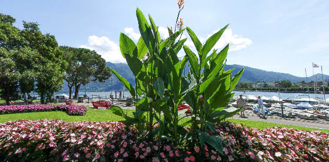Rezensionen über Hotel Geranio au Lac in Locarno - Schneider