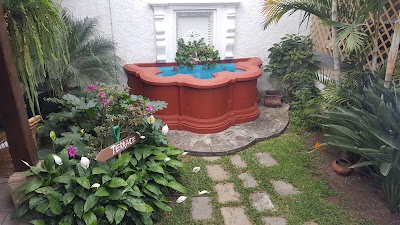 Photos of Cacao Boutique Hotel