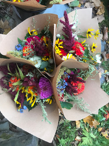 Graceful Blooms