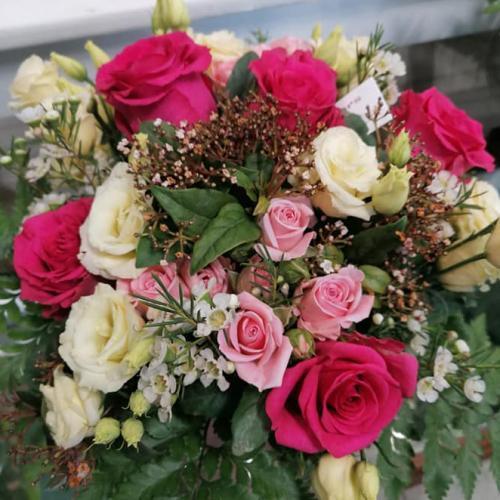 Lily Roses