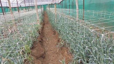 Photos of Flower Development Centre, Godawari