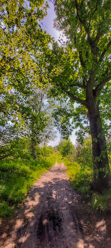 Wallsteijn - Visual