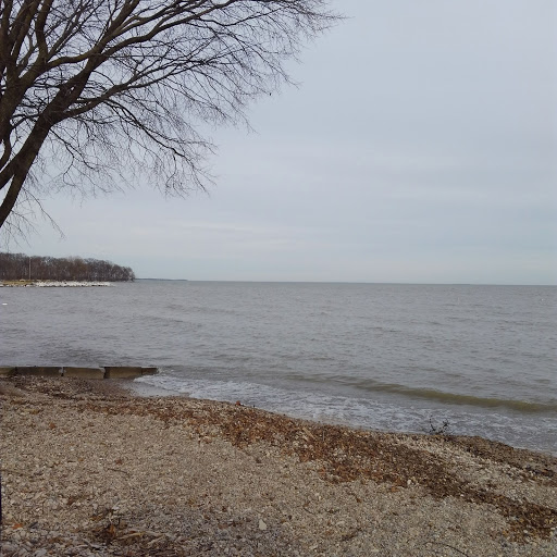 Miller Ferry Parking Lot 5 - Thumbnail