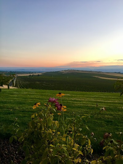 Silver Lake Winery