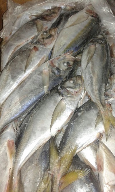 Photos of Stylekem Frozen Food