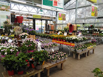 GAMM VERT à Voreppe