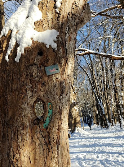 Mendon Ponds Park