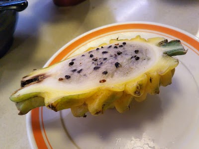 Photos of Hamazushi