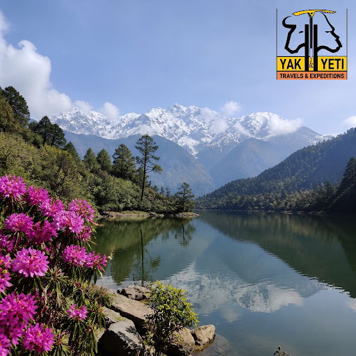 Planning a family vacation in the hills? Yak and Yeti Travel and Expeditions in Gangtok designs s… post image