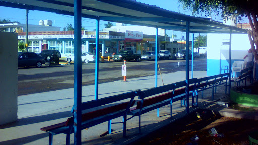 Autobuses Publicos