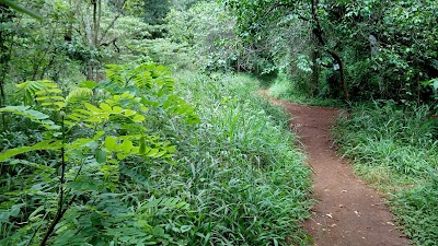 Photos of Karura Forest