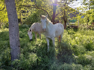 Photo n°10 de Jardin de la maison Perséphone à Bessèges (Jardin)