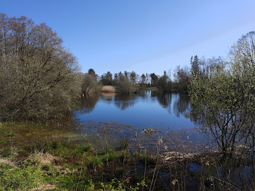 Morton Lochs Car Park - Thumbnail