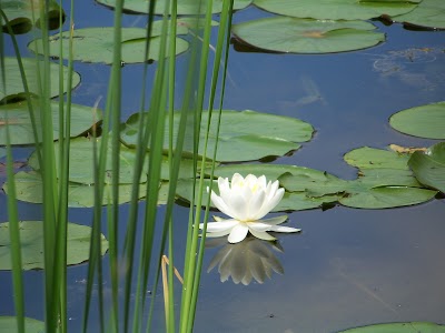 Tinker Nature Park/Hansen Nature Center