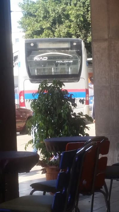 Photos of Airport Buses