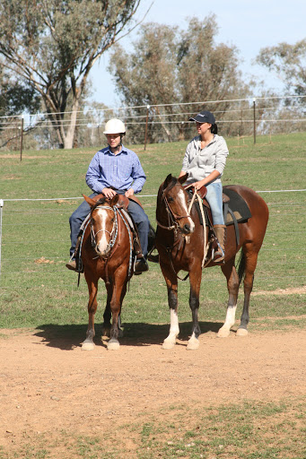 Manilla Team Penning Association inc - Thumbnail