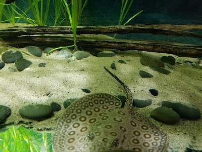 Belle Isle Aquarium