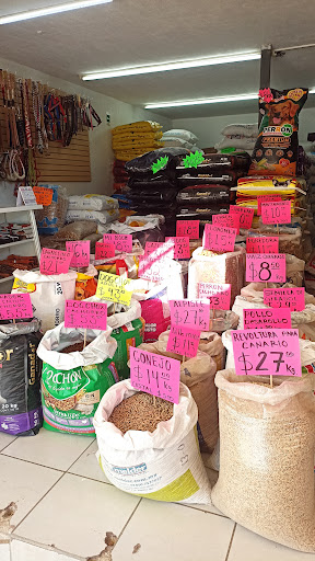 Agropecuaria Zapopan - Gallo Azul Alimentos - Thumbnail