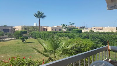 Photos of Al Reviera