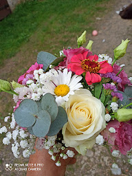 Photo n°1 de C NATUREL à Sées (Fleuriste)