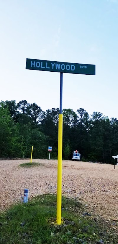 Blue Moon Drive In Theater