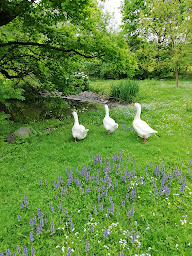 Photo n°12 de La Kanöpée à Moncoutant-sur-Sèvre (Camping avec cabanes)