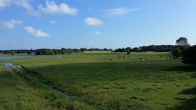 Photos of Udk&aelig;ret Fuglet&aring;rn