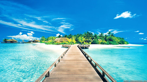 Your Unique Travel Experience