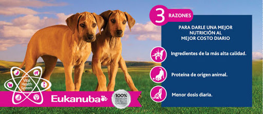 Clínica Veterinaria Nicniuh