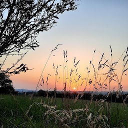 Photo n°11 de Bureau d'information touristique à Réquista (Agence de visites touristiques)