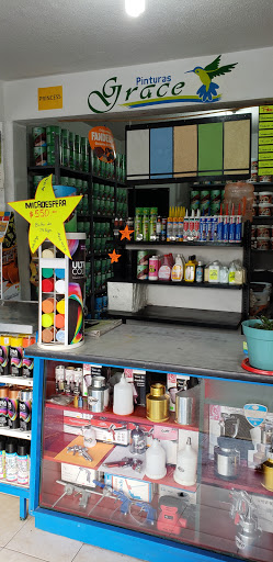 Pinturas Grace Tienda Tultitlán - Thumbnail