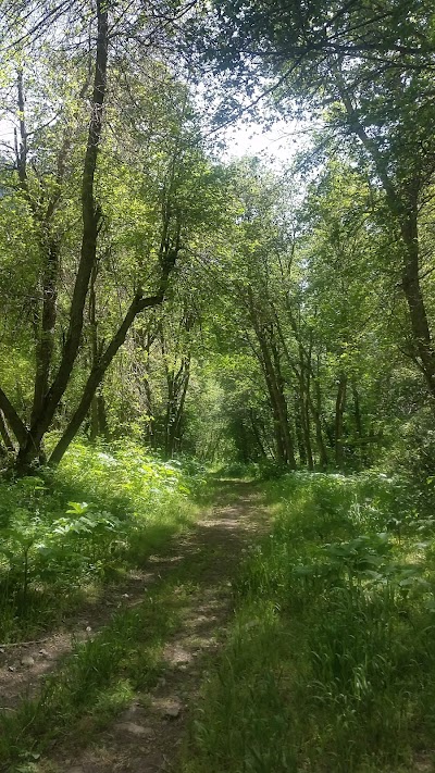 Slate Canyon Trail