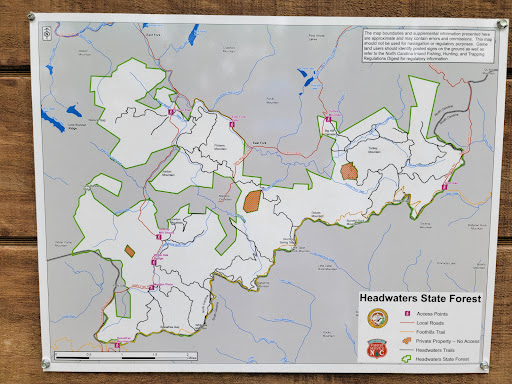 Turkey Mountain Trail: Headwaters State Forest - Thumbnail