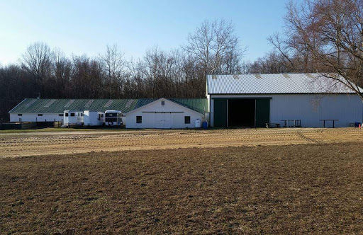 Hidden Meadow Farm Gallery - United States