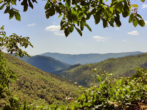 Photo n°4 de Le refuge du Ventalon à Ventalon en Cévennes (Ferme bio)