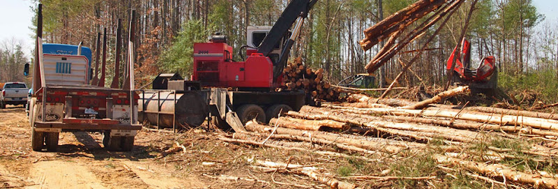 Mid Atlantic Tree Harvestors & Forestry Mulching